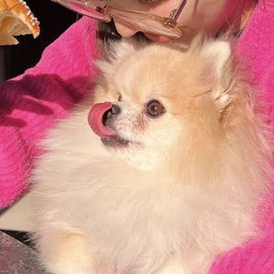 Meet your Posher, Eric